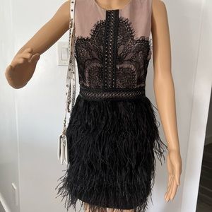 Gianni Bini Dresses | Feather and Lace Detail Dress.